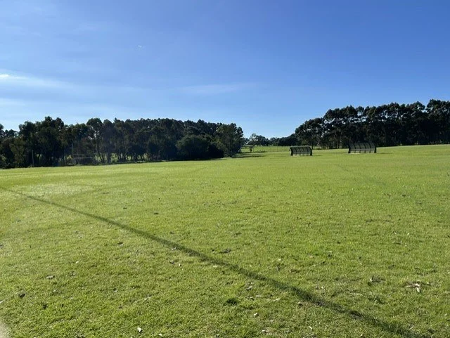 The barrier net installed at the northern end of the soccer oval